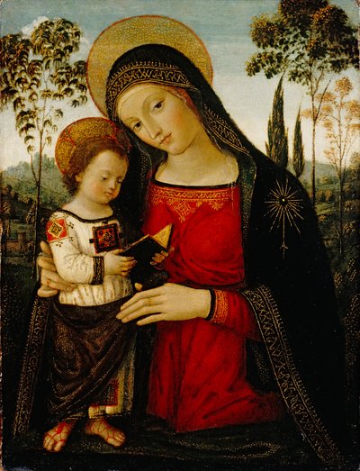 Madonna and Child, c.1490-1495 by Bernardino di Betto Pinturicchio